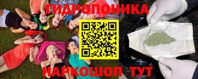 spice Обнинск
