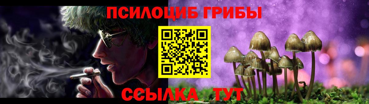 Псилоцибиновые грибы Psilocybe  Вход с VPN  Рузаевка 